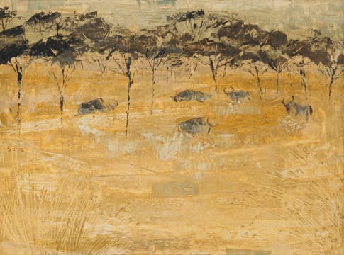 Gordon Vorster; Wildebeeste