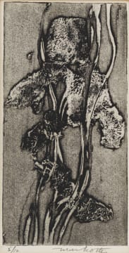 Dirk Meerkotter; Iris