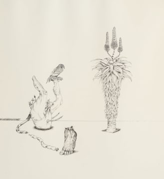 Norman Catherine; Toward Backward Inward