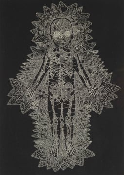 Walter Oltmann; Lace