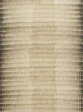 Cathy Abraham; Sepia Shadow Ghost
