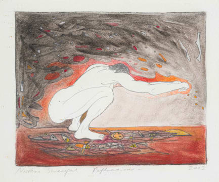 Nicolene Swanepoel; Reflection