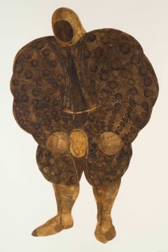 Walter Oltmann; Warrior