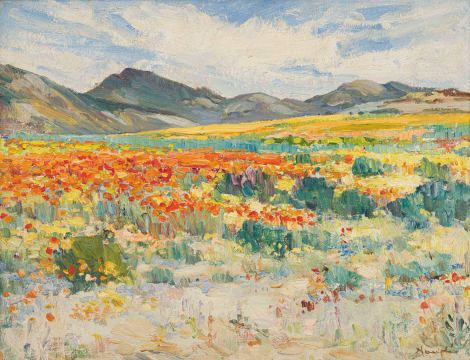 Hugo Naudé; Namaqualand Landscape