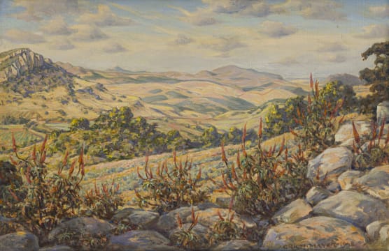 Erich Mayer; Looking East from Misty Heights, Zoutpansberg