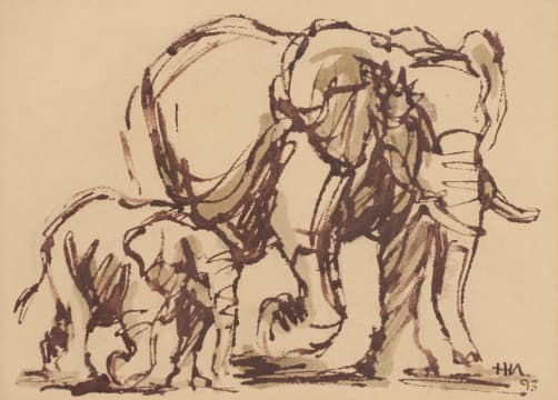 Hennie Niemann Jnr; Elephants