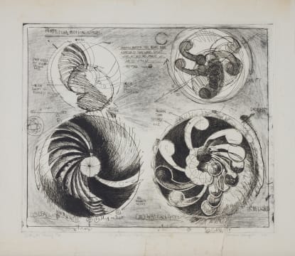 Braam Kruger; Perpetual Motion Wheel