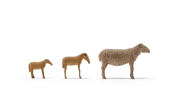 Julius Mfethe; Family of Sheep, three