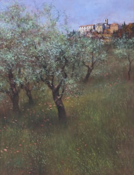 John Meyer; Olive Trees, Firenzuolo