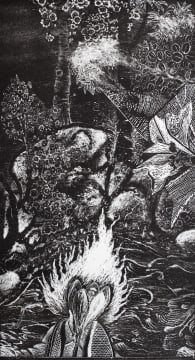 Karel Nel; Palmer's Flare