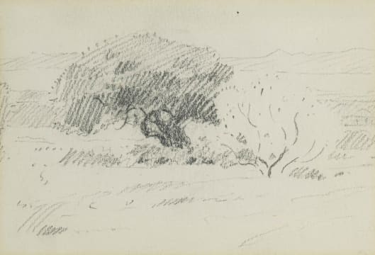 Jacob Hendrik Pierneef; Bushveld Landscape with Trees
