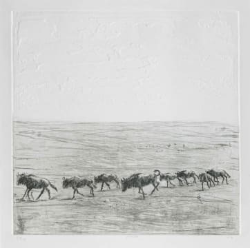Zakkie Eloff; Etosha