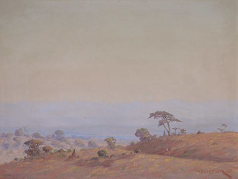 Willem Hermanus Coetzer; Landscape with Distant Mountains