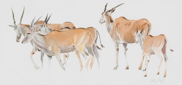Leigh Voigt; Eland Cows