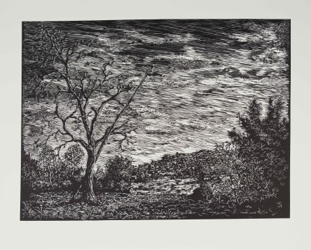 Jan Maanda Tshikhuthula; Untitled