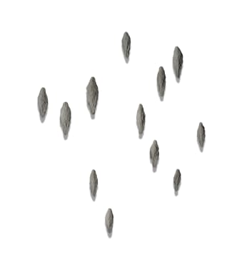 Ledelle Moe; Findings, twelve