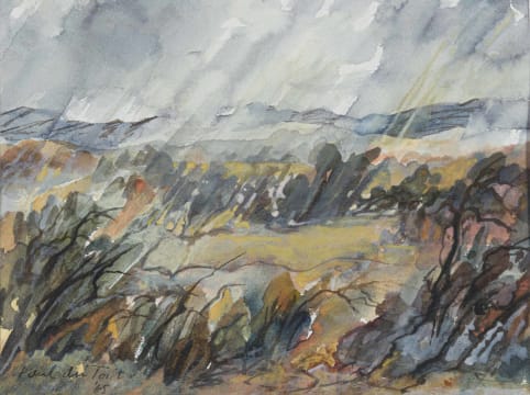 Paul du Toit; Abstract Landscape