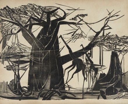 Raymond Andrews; Baobab Trees and Giraffe