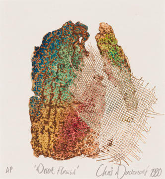 Christiaan Diedericks; Desert Flowers
