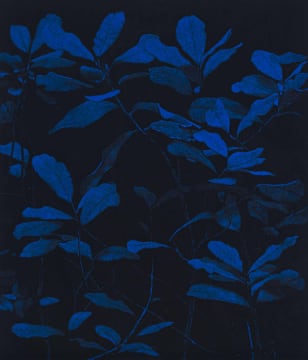 Peter Eastman; Bigger Blue Light