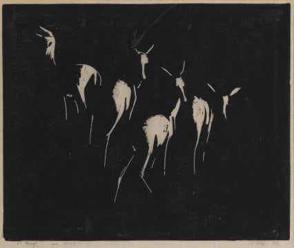 Zakkie Eloff; Buck