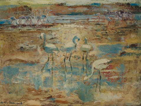 Nerine Desmond; Flamingos, Luderitzbuch S.W.A