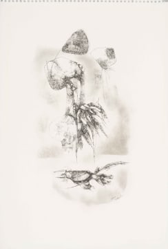 Ezrom Legae; From the Chicken Series