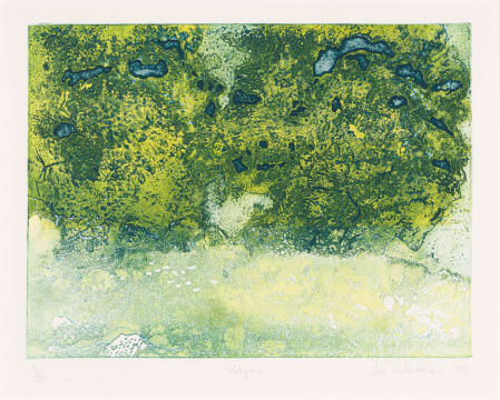 Sue Williamson; Hedgerow