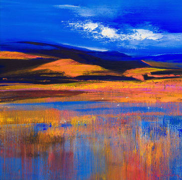 Derric van Rensburg; Overberg Scene