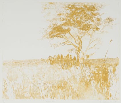 Sue Williamson; Kalahari Tree