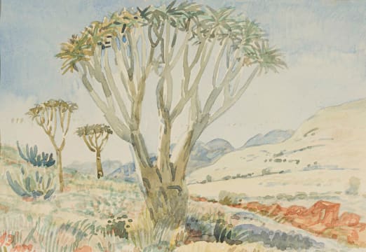 Adolph Jentsch; Candelaber Aloe, der Namib (Candelabra Tree, the Namib)