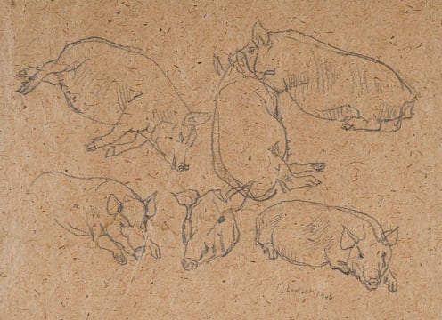 Maggie Laubser; Study of Pigs