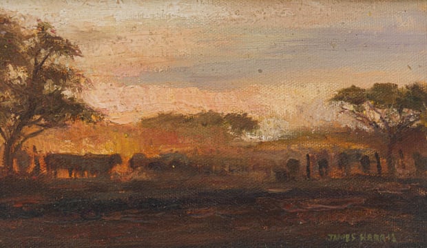James Harris; Sunset at Cattle Dust