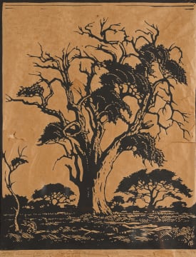 Jacob Hendrik Pierneef; Hardekoolboom, TVL (Leadwood, Transvaal) (Nilant 74)