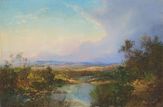 Gabriel de Jongh; Cape Flats