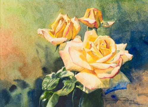 Dino Paravano; Roses