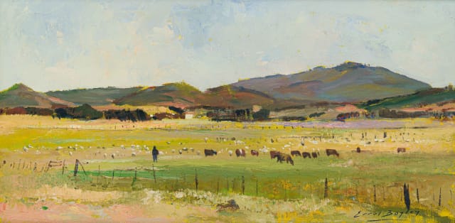 Errol Boyley; Farmlands Colesberg