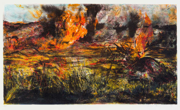 Kim Berman; Element of Truth Highveld Fire I