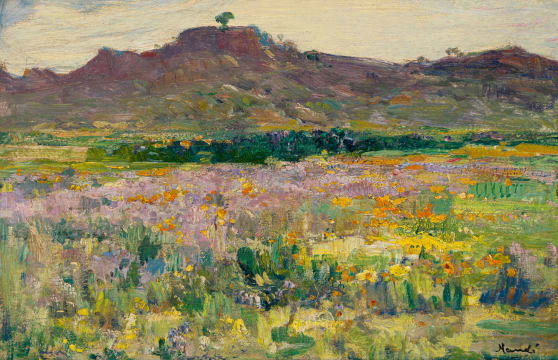 Hugo Naudé; Namakwaland (Namaqualand)