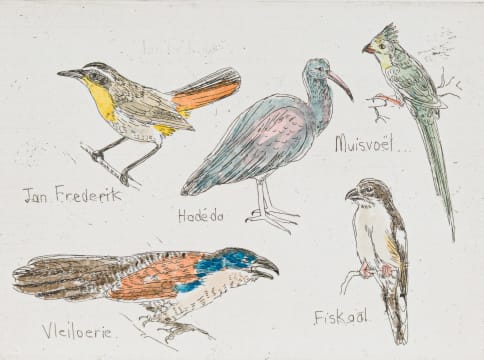 Claudette Schreuders; My Voels I