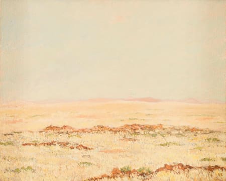 Esias Bosch; Karoo Landscape