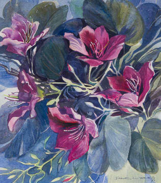 Jane Wiles; Bauhinia, First Radiance