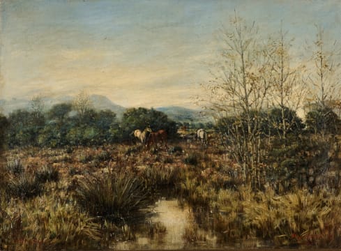 Hugo Naudé; Worcester