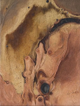 Aileen Lipkin; Fungus Growth