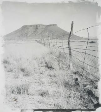 Stephen Inggs; Fence