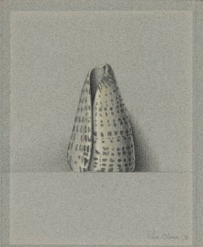 Wim Blom; Cowrie Shell
