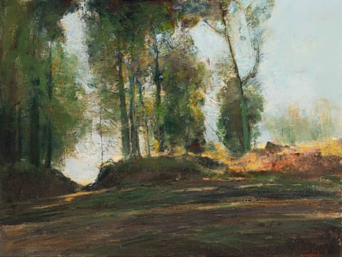 Errol Boyley; Trees on a Hillside