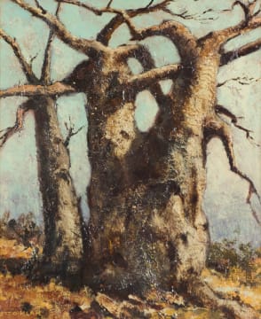 Otto Klar; Baobab Tree