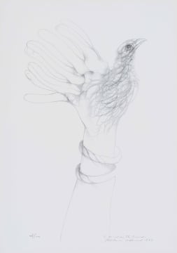 Judith Mason; A Bird in the Hand