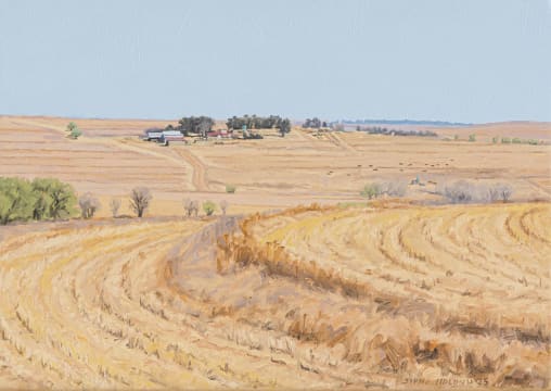 Sipho Ndlovu; After Harvesting
